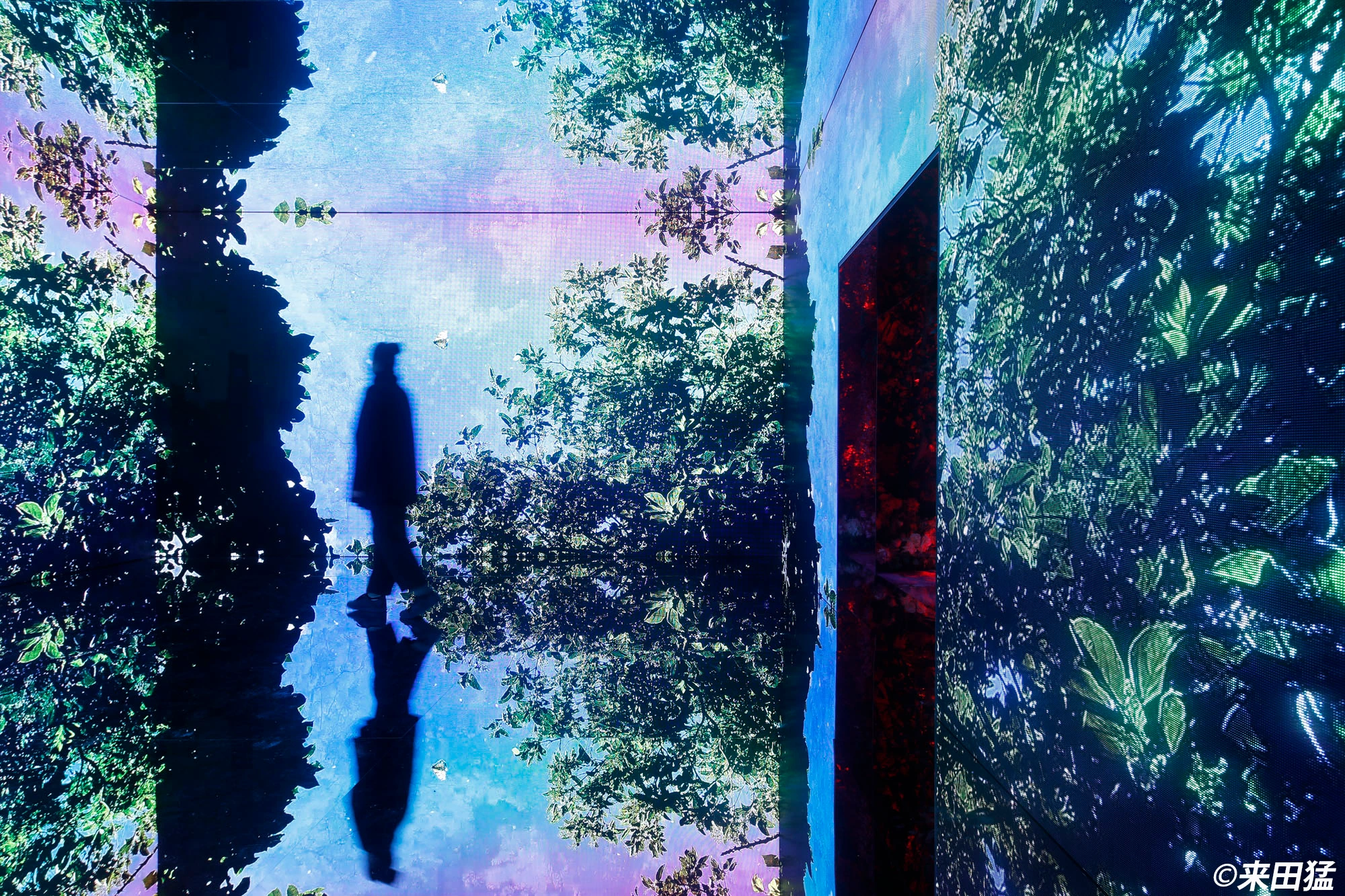 蜷川実花展 with EiM：彼岸の光、此岸の影①